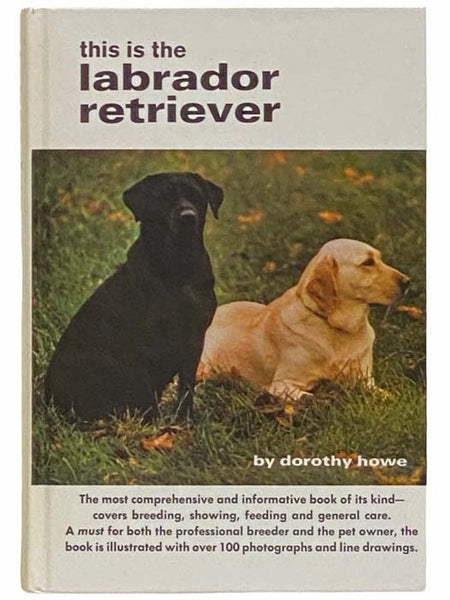 This is the Labrador Retriever
