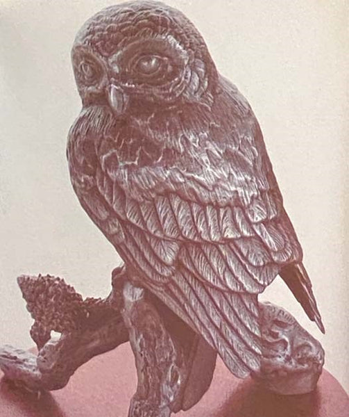 Pygmy Owl (The Burgues Birds)