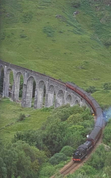 Dan Cruickshank's Bridges: Heroic Designs that Changed the World