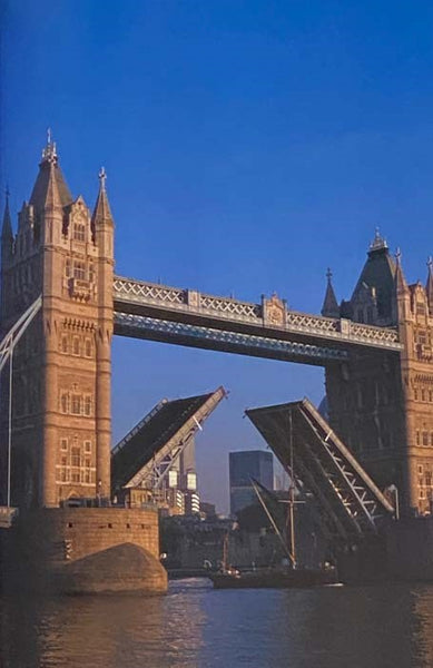 Dan Cruickshank's Bridges: Heroic Designs that Changed the World