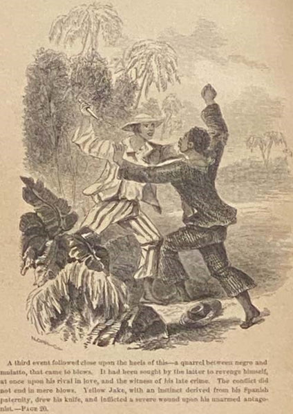 Osceola the Seminole, or the Red Fawn of the Flower Land