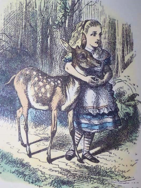 Alice's Adventures in Wonderland and Through the Looking-Glass and What Alice Found There (2 Volume Boxed Set) (Centennial Edition)
