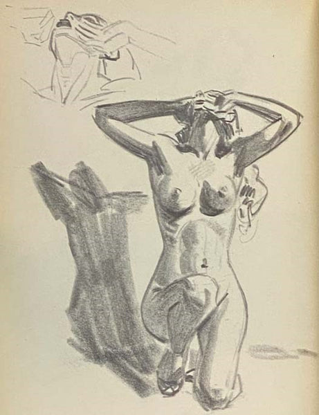 Mastery of Drawing