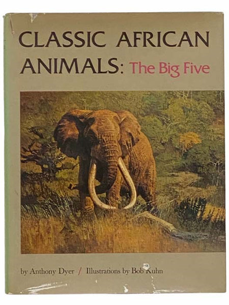 Classic African Animals: The Big Five