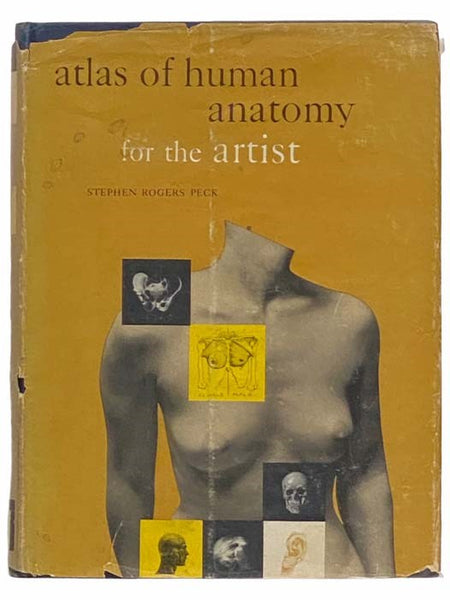 Atlas of Human Anatomy for the Artist