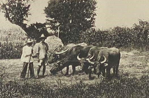 The Philippines: Under Spanish and American Rules
