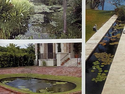 The Civilized Jungle: Residential Landscapes of Sanchez and Maddux
