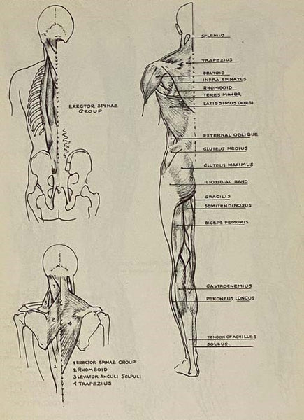 Figure Drawing for All It's Worth