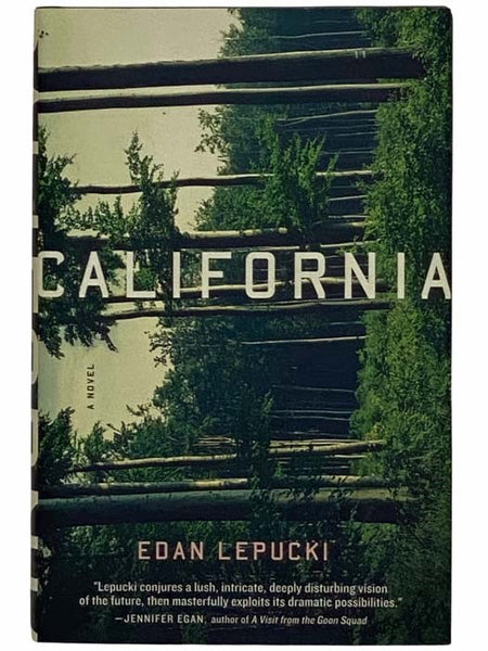 California: A Novel