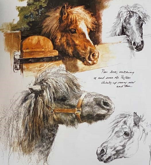 Rien Poortvliet's Horses