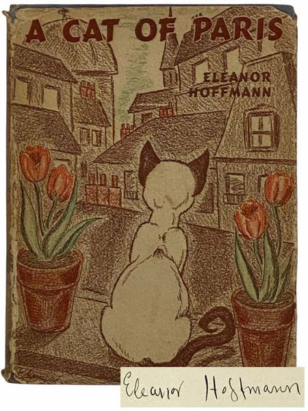 A Cat of Paris