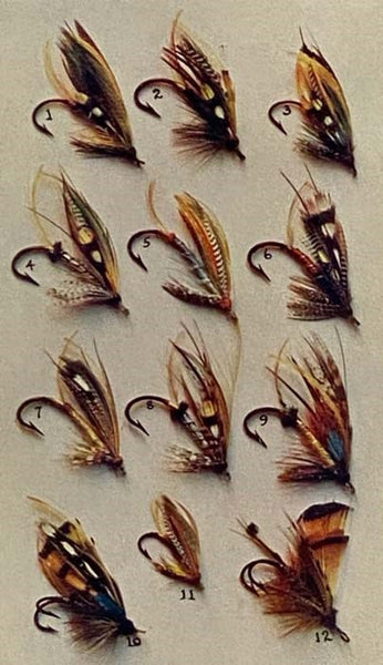 Guns, Ammunition and Tackle (American Sportsman's Library)