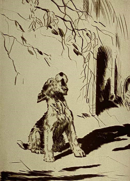 Real Tales of Real Dogs