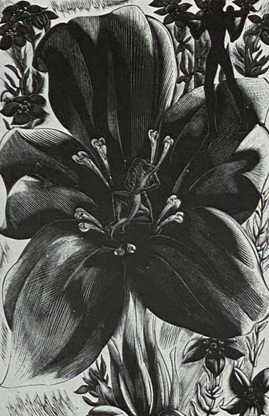 A History of British Wood Engraving