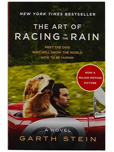 The Art of Racing in the Rain: A Novel