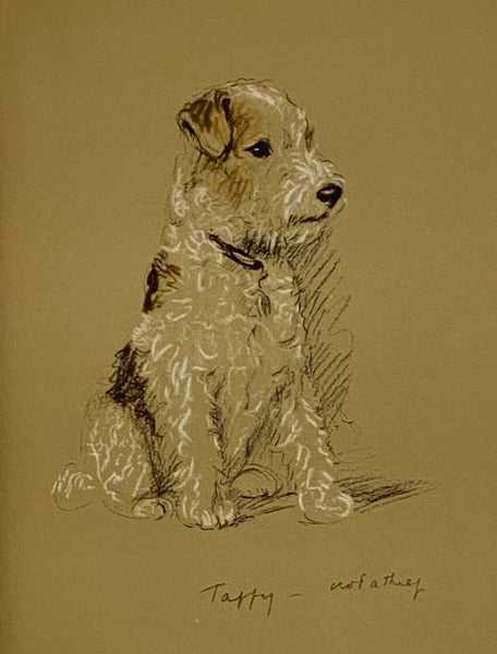 Dogs Rough and Smooth