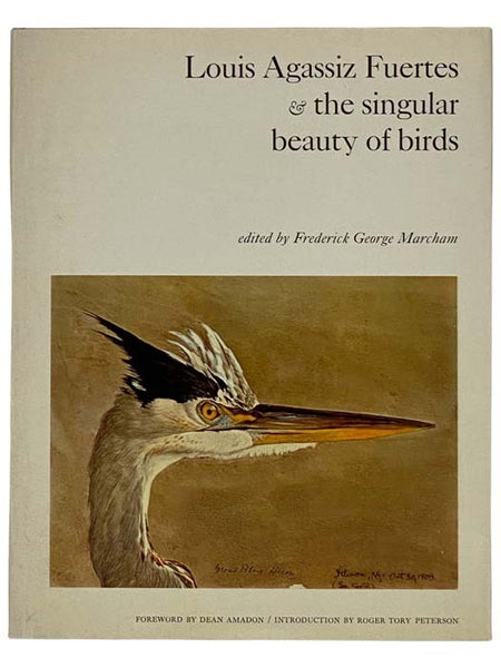 Louis Agassiz Fuertes and the Singular Beauty of Birds