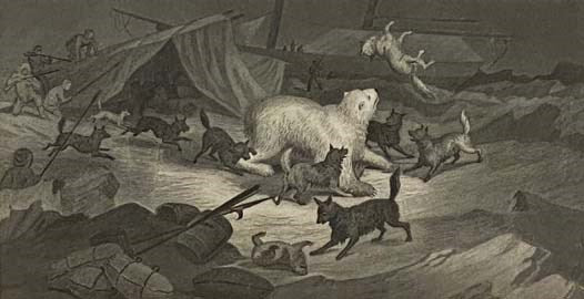 Arctic Explorations: The Second Grinnell Expedition in Search of Sir John Franklin, 1853, '54, '55. Illustrated with Upwards of Three Hundred Engravings, from Sketches by the Author. In Two Volumes.