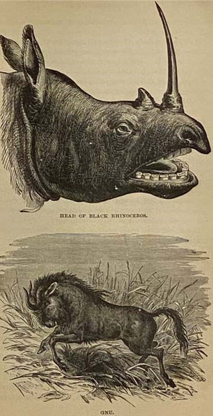 The Life and Labors of David Livingstone, LL.D., D.C.L., Covering His Entire Career in Southern and Central Africa. Carefully Prepared from the Most Authentic Sources, viz.: His Own Two Large Volumes, "South Africa," and "The Zambesi Expedition," His "La…