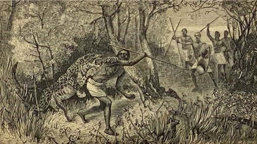 The Life and Labors of David Livingstone, LL.D., D.C.L., Covering His Entire Career in Southern and Central Africa. Carefully Prepared from the Most Authentic Sources, viz.: His Own Two Large Volumes, "South Africa," and "The Zambesi Expedition," His "La…