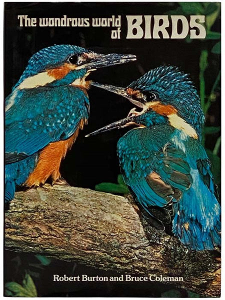 The Wondrous World of Birds