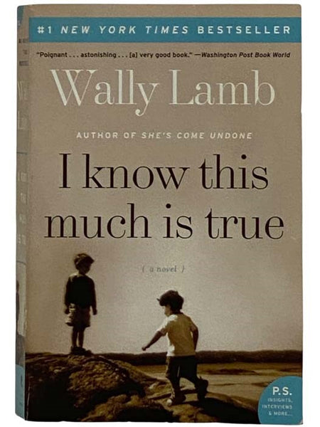 I Know This Much Is True: A Novel (P.S.)