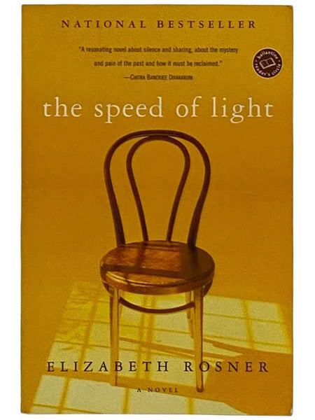 The Speed of Light: A Novel