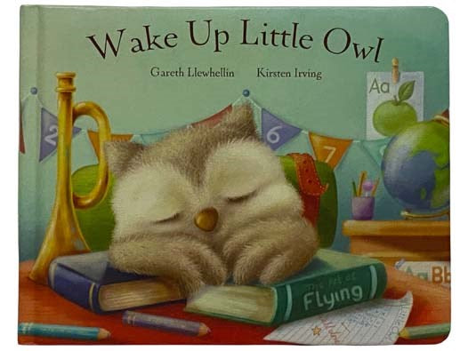 Wake Up Little Owl