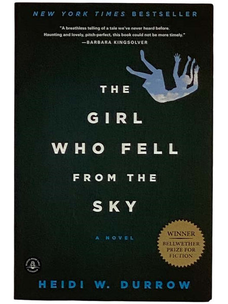 The Girl Who Fell from the Sky: A Novel