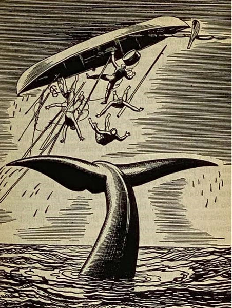 Moby Dick; or, The Whale