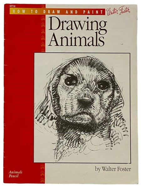 Drawing Animals (How to Draw and Paint)