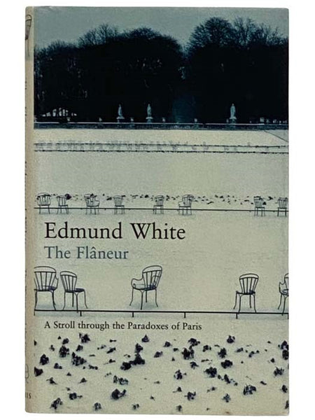 The Flaneur: A Stroll through the Paradoxes of Paris