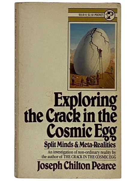 Exploring the Crack in the Cosmic Egg: Split Minds & Meta-Realities