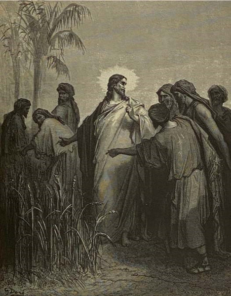 The Bible in Pictures by Gustave Dore