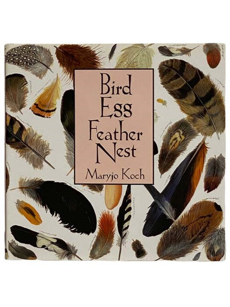 Bird Egg Feather Nest