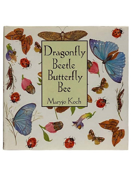 Dragonfly Beetle Butterfly Bee