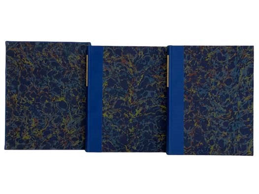 Narrative of a Five Years' Expedition, in Two Volumes: Against the Revolted Negroes of Surinam in Guiana on the Wild Coast of South America from the Years 1772 to 1777. Elucidating the History of That Country and Describing Its Productions, Viz, Quadrupe…