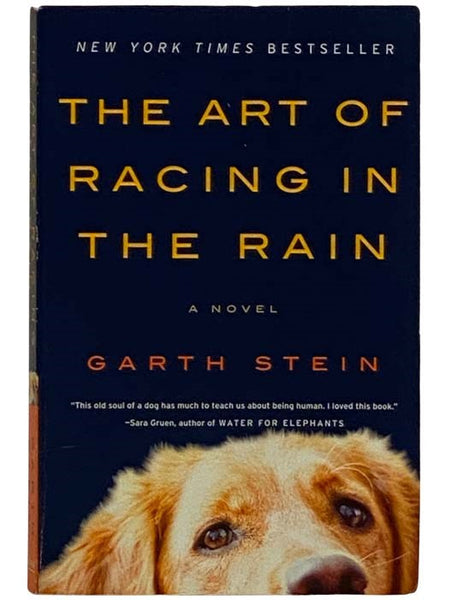 The Art of Racing in the Rain: A Novel