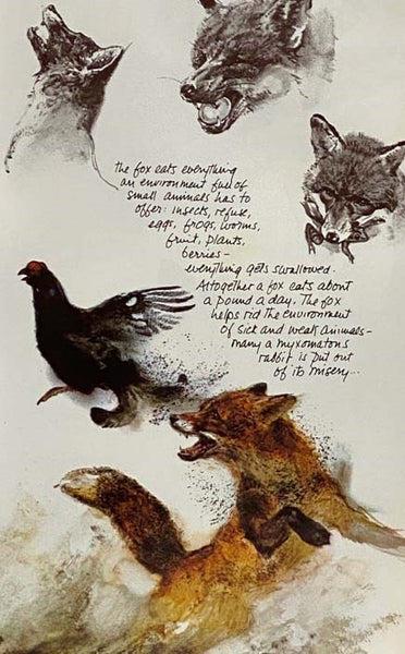 The Living Forest: A World of Animals