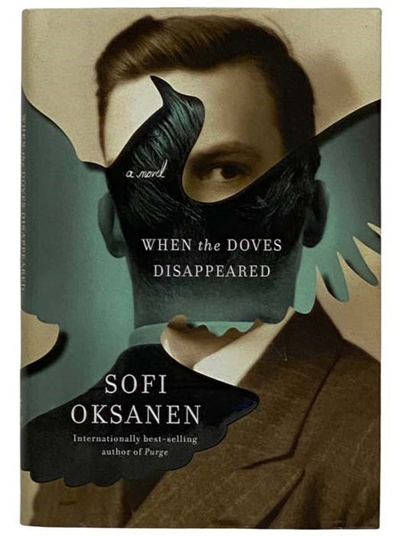When the Doves Disappeared: A Novel