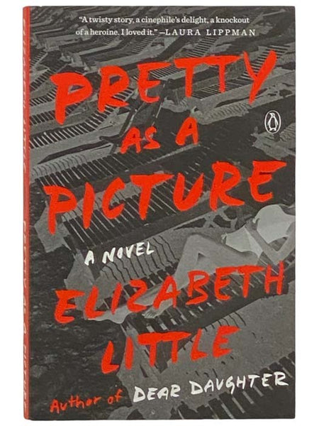 Pretty as a Picture: A Novel