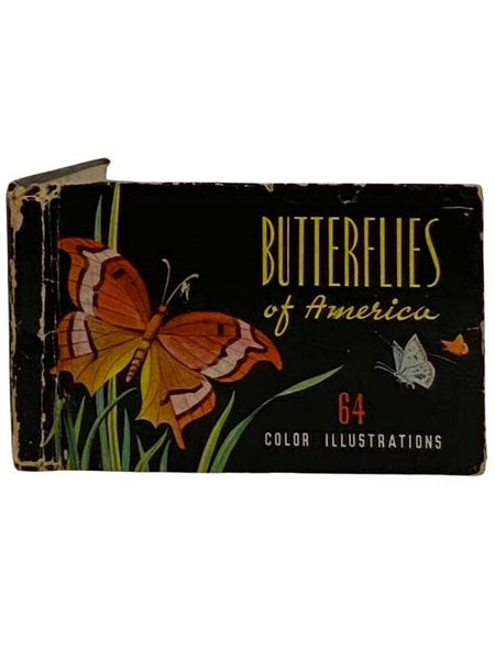 Butterflies and Moths of America