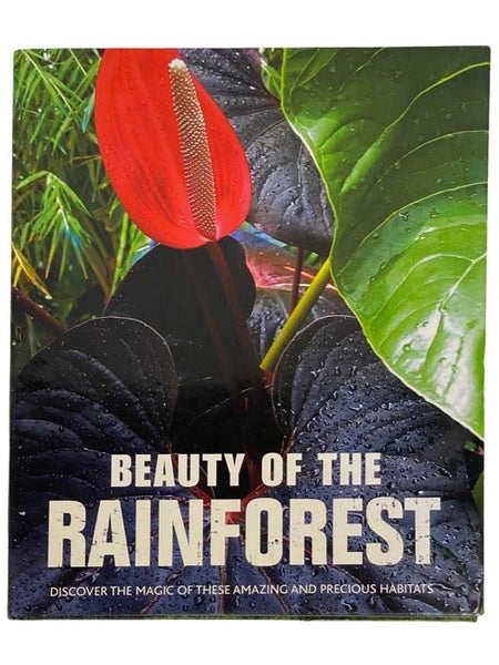 Beauty of the Rainforest: Discover the Magic of These Amazing and Precious Habitats