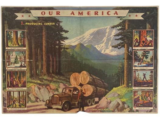Our America Lumber Number 1