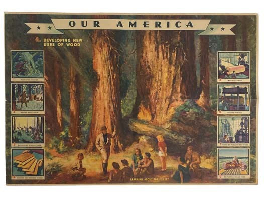 Our America Lumber Number 4