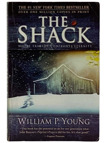 The Shack: Where Tragedy Confronts Eternity