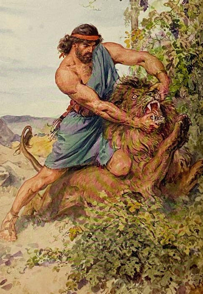 Through the Bible