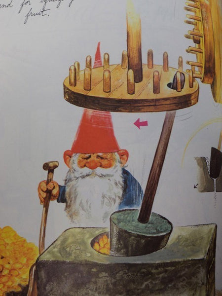 Gnomes