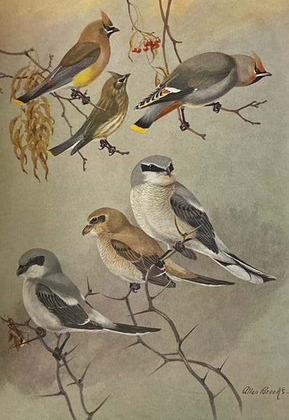 Birds of Massachusetts and Other New England States, in Three Volumes: Part I. Water Birds, Marsh Birds and Shore Birds; Part II. Land Birds from Bob-Whites to Grackles; Part III. Land Birds from Sparrows to Thrushes (Massachusetts Department of Agricult…