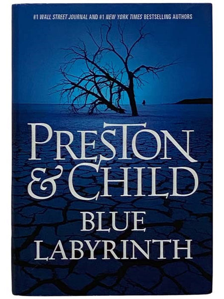 Blue Labyrinth (Agent Pendergast No. 14)